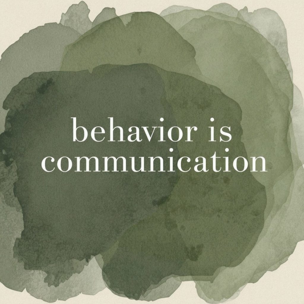 Why I Love the Zones of Regulation